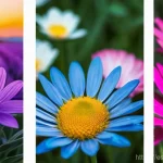 니제르 여행자 보험 필수 여부 - Here are three detailed image prompts: