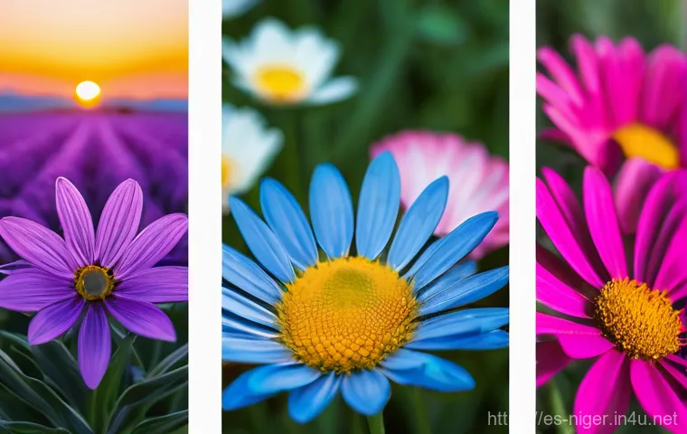 니제르 여행자 보험 필수 여부 - Here are three detailed image prompts: