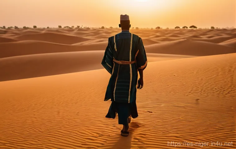 니제르 여행자 보험 필수 여부 - Here are three detailed image prompts: