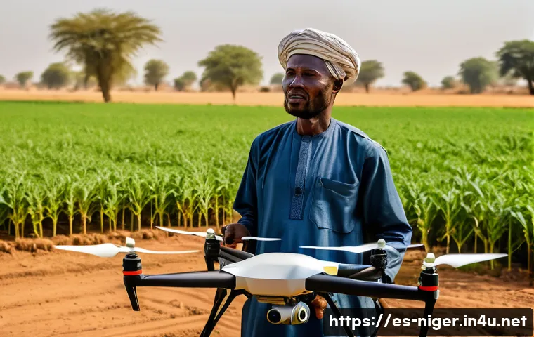 니제르에서 드론 사용 가능 여부 관련 이미지 1