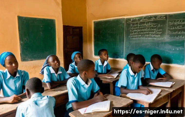 니제르 청년 실업률 및 경제 문제 관련 이미지 1